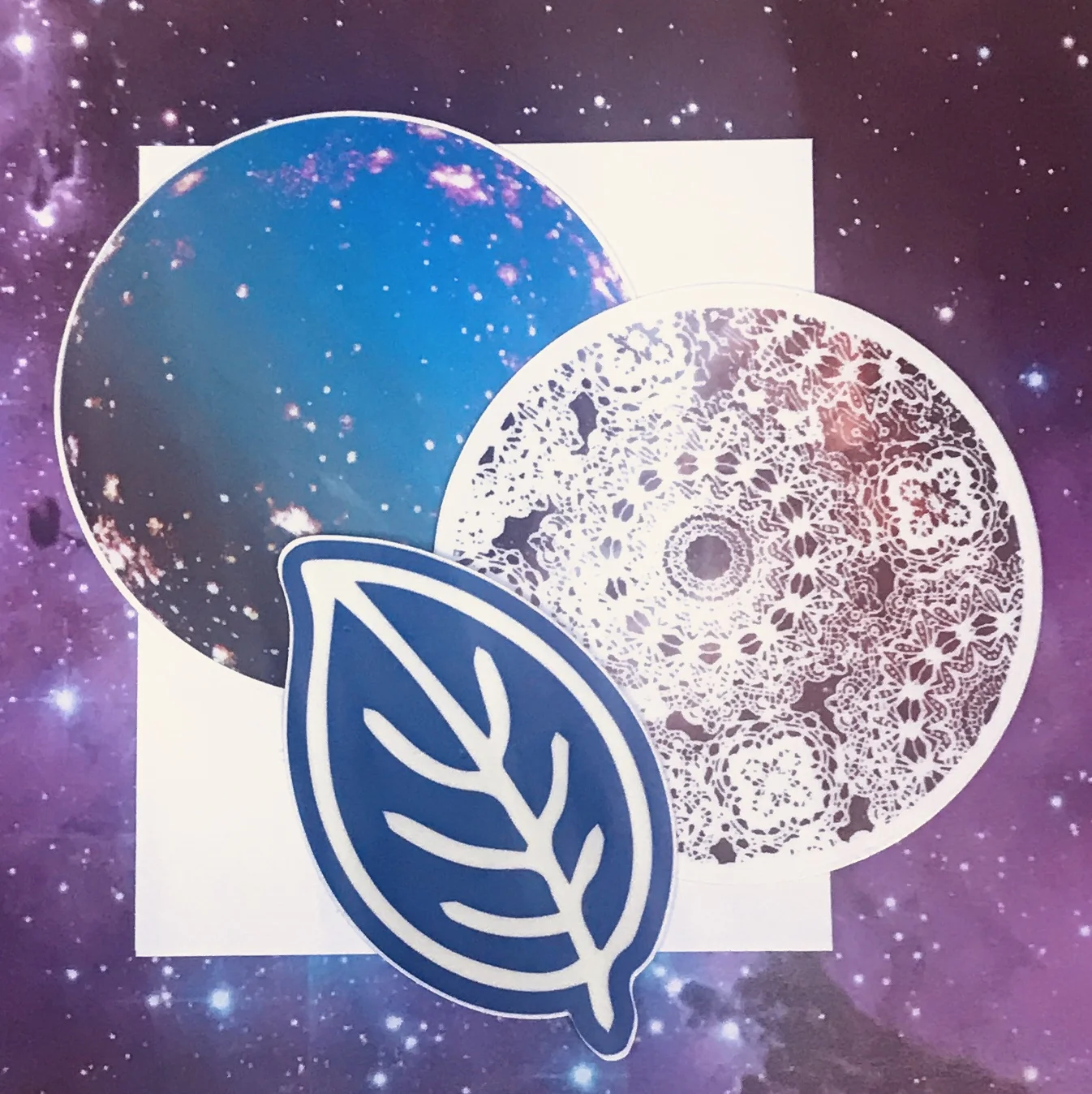 BBBFC126-83C4-4CF2-B69C-A49D31851FED