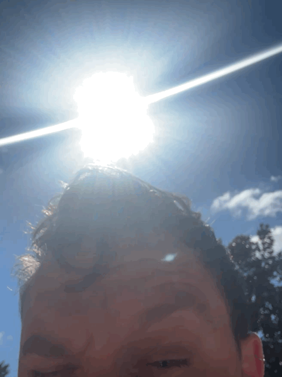 VideoToGif_GIF.gif