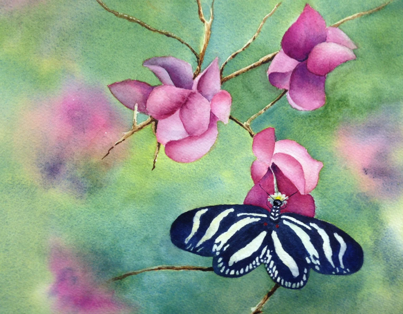 Butterfly on Pink