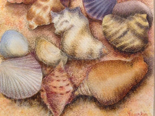 Seashells