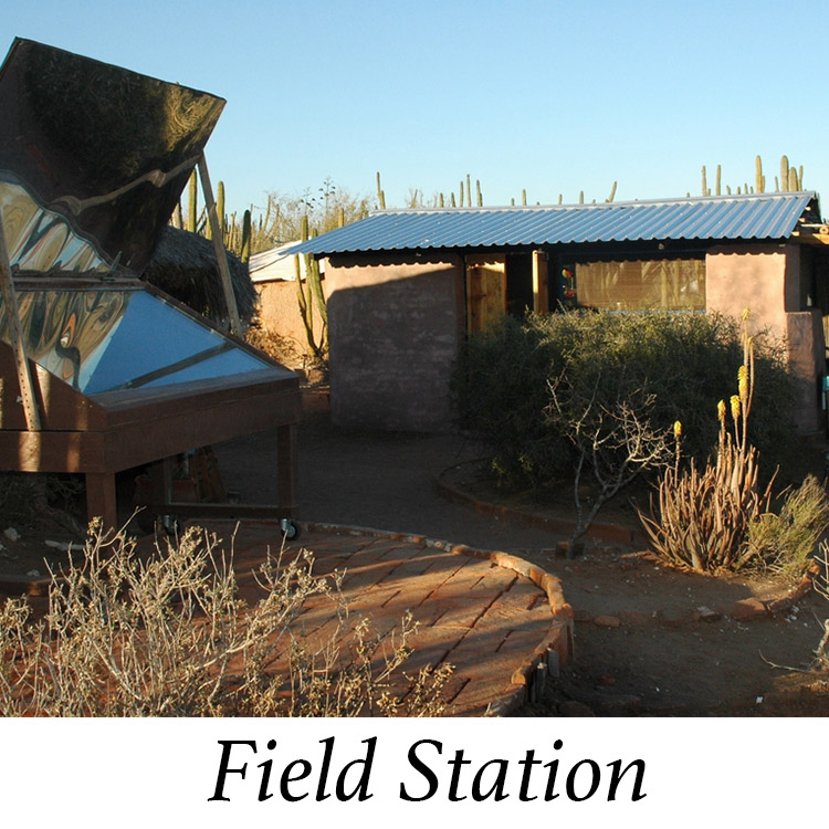 Field Station Gallery.jpg