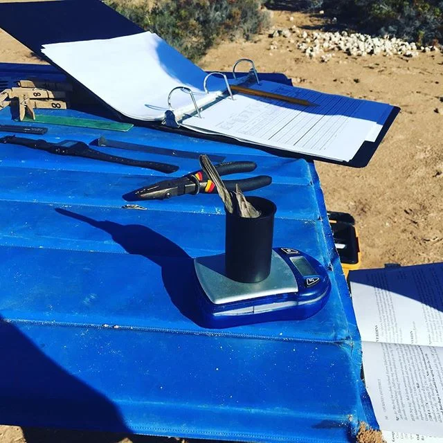 What's your mass?

#fieldstation #bird #birdbanding #longtermmonitoring #ecology #fieldstationlife #mistnetting #sonoraquerida #mangroves #pitayacoast #sonora #science #beachlife #birdbirdsbirds #shouldweswitchtopvc?