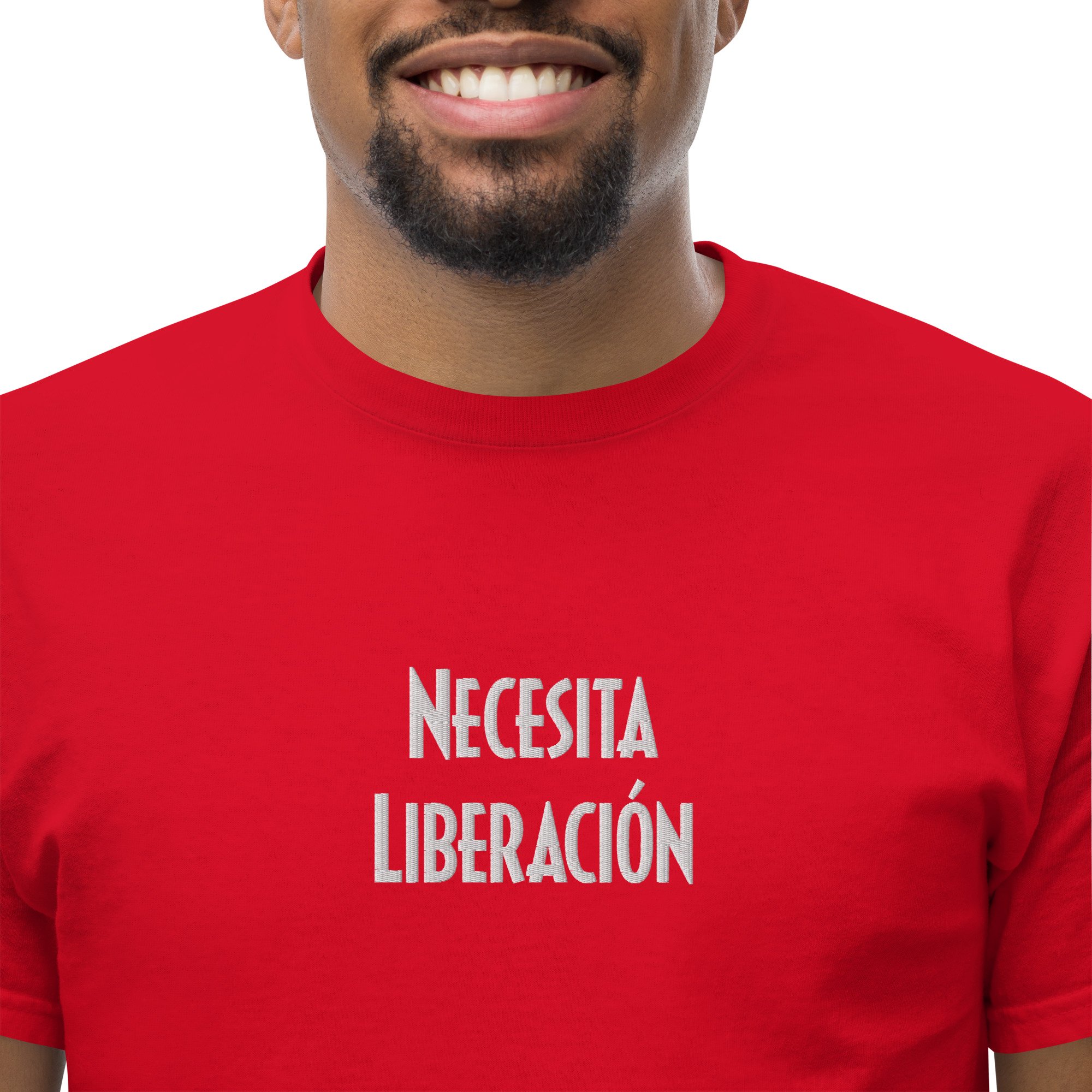 mens-classic-tee-red-zoomed-in-3-64722b6d4839e.jpg