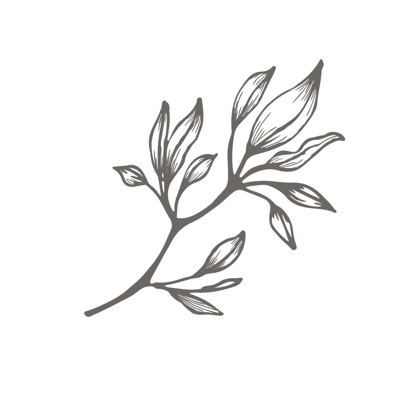 Screen Shot 2019-08-01 at 2.06.47 PM.png