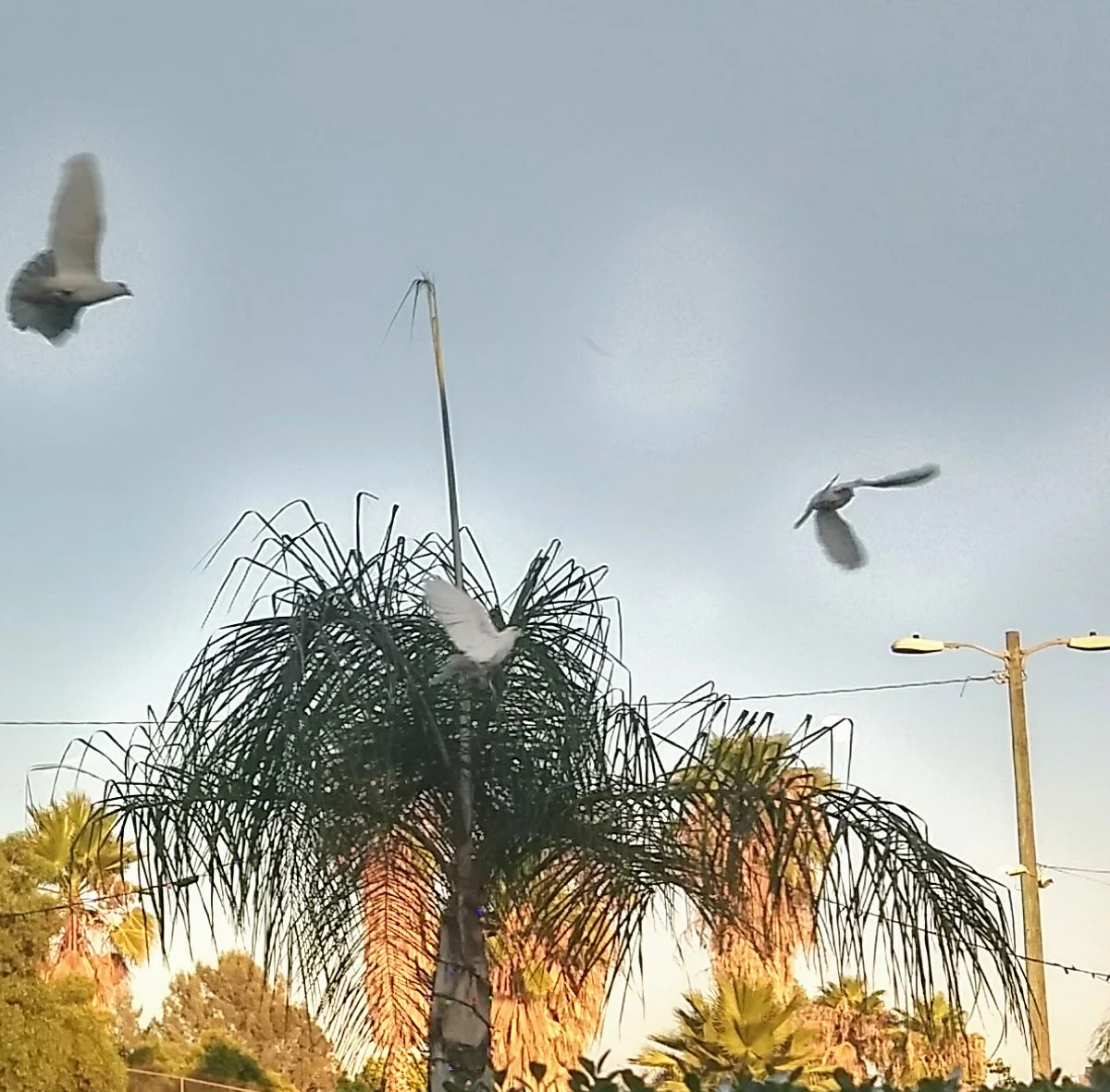 IMG_20180823_190234834_HDR.jpg