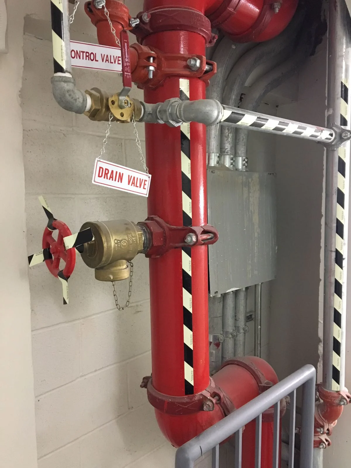 WhatsApp Image 2016-11-10 at 11.27.45 AM.jpeg