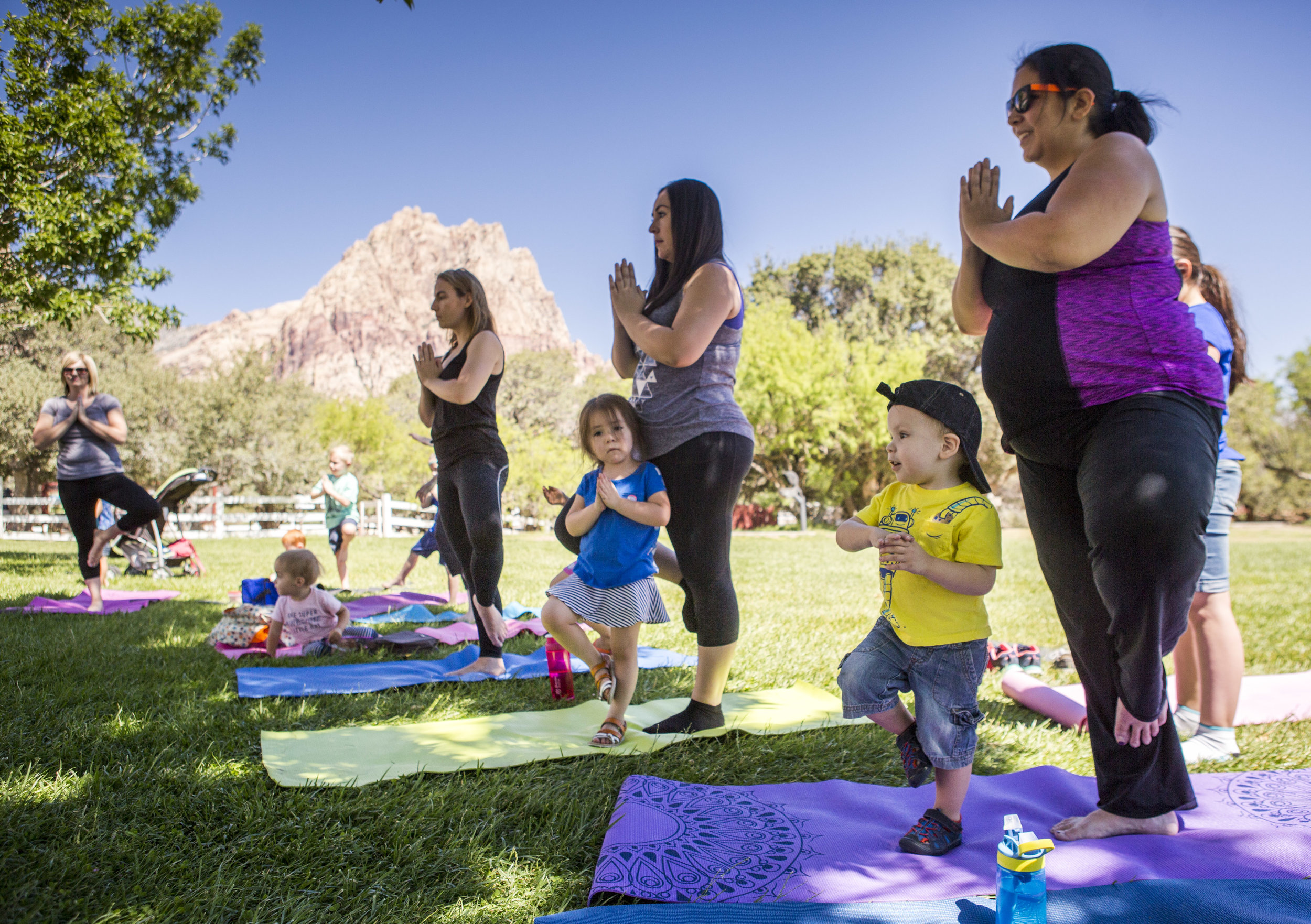  Ajelica and Vincent Wolf, right, Ana and Amaya Lazzarotto, middle, and Mary and James Grundstedt, center left, all practice a pose during a family yoga class at Spring Mountain Ranch State Park on Wednesday, June 14, 2017.  Patrick Connolly Las Vega