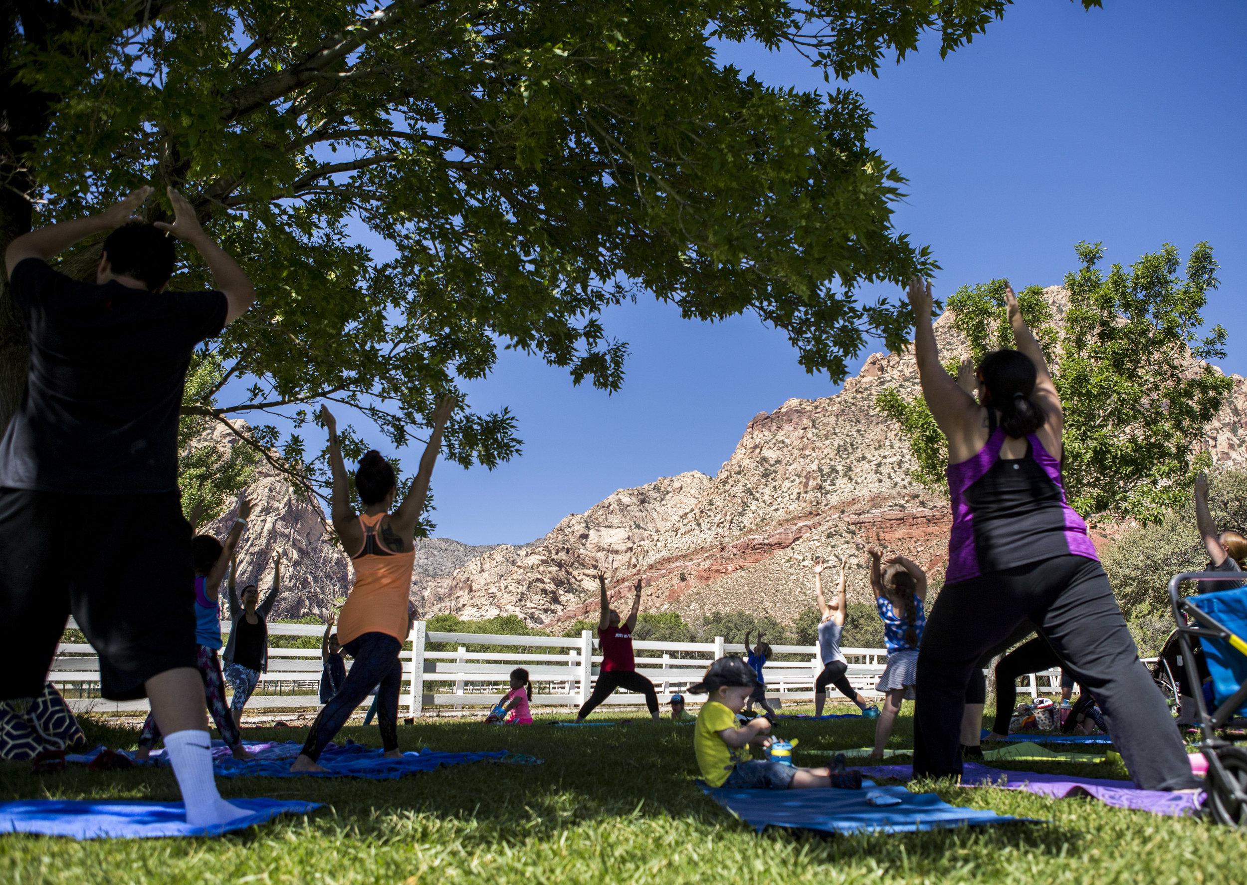  A family yoga class at Spring Mountain Ranch State Park on Wednesday, June 14, 2017.  Patrick Connolly Las Vegas Review-Journal @PConnPie 