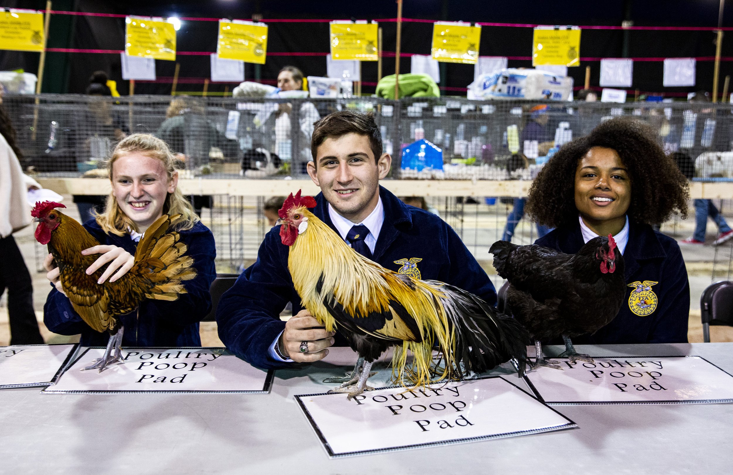  Members of the Future Farmers of America show birds in the livestock portion of the Central Florida Fair on Thursday, Feb 27, 2020. 