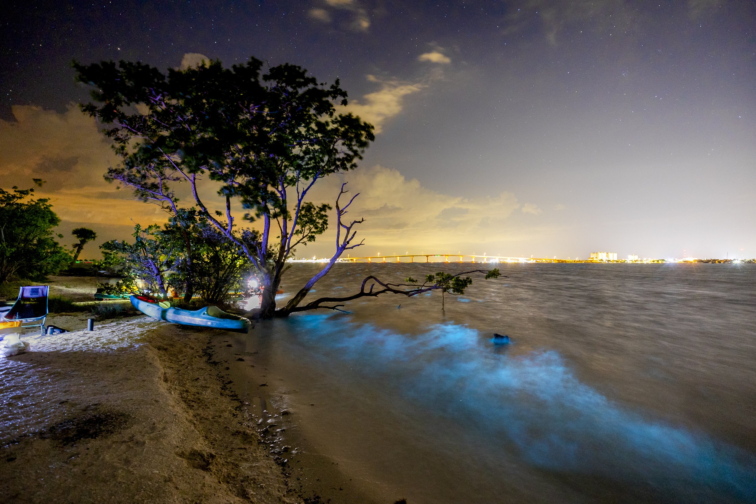  Bioluminescent dinoflagellates light up the Indian River Lagoon in Florida during the summertime. 