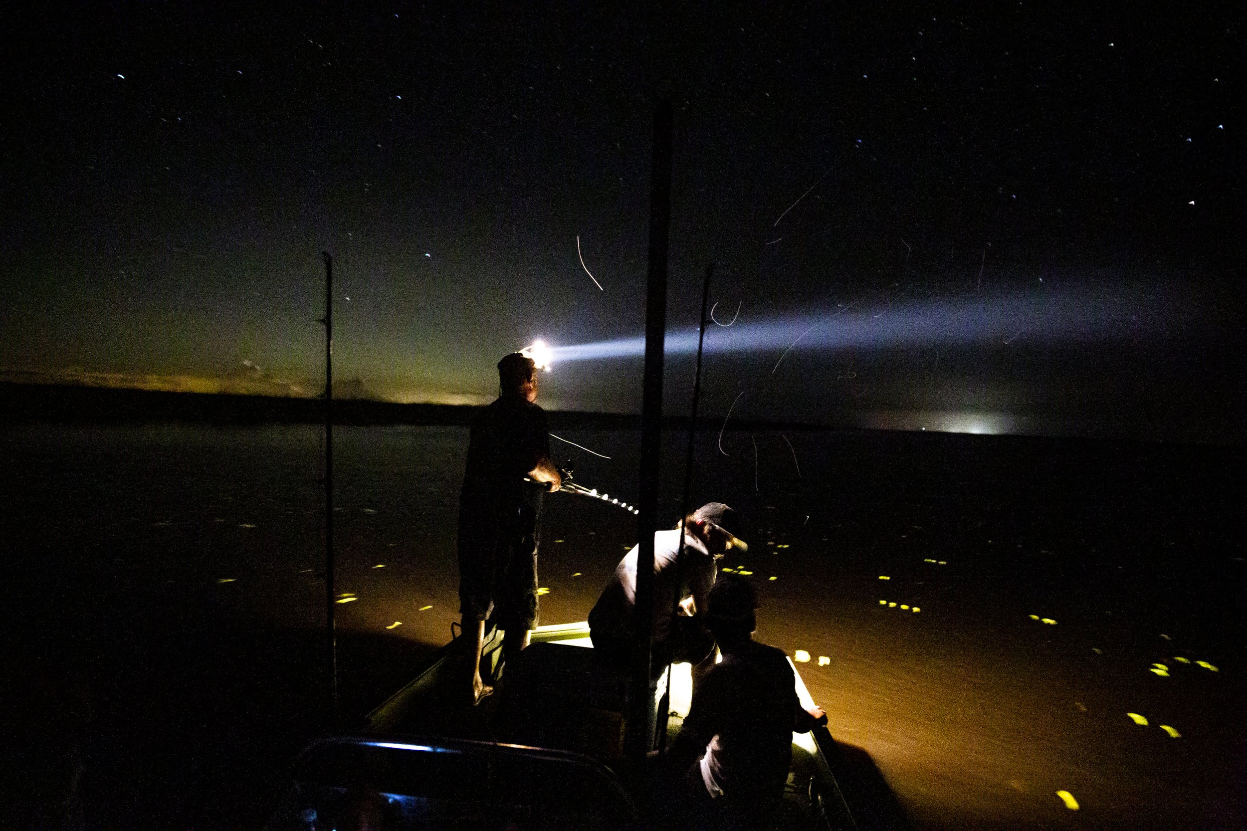  Capt. Bob Stafford shines a light out onto the water while looking for gators during a hunt with Okeechobee Charters on Lake Okeechobee Friday, Sept. 27, 2019. 