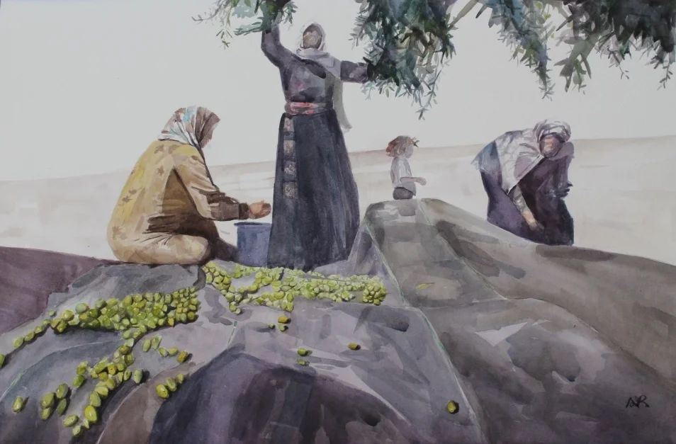 The Old, Young and the Olive Harvest in Between.jpg
