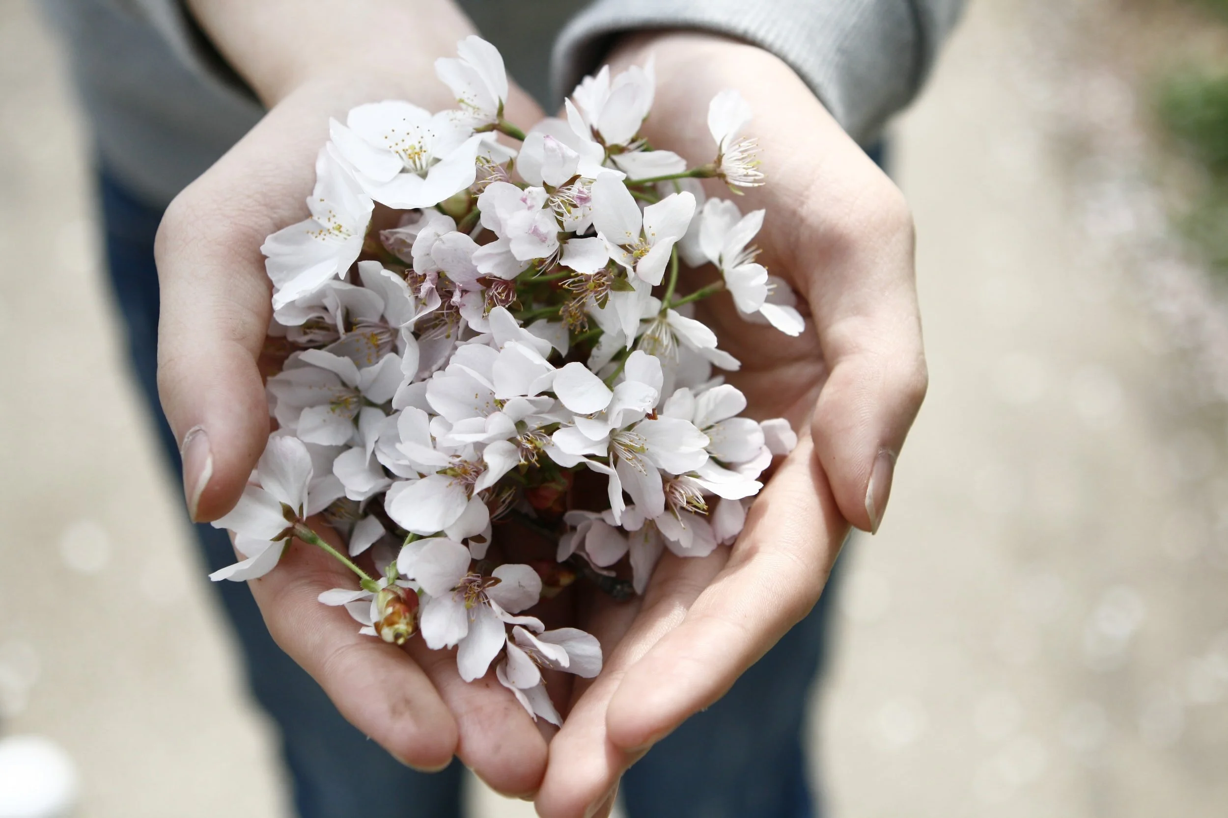 Parenting Strategies for Uncertainty and Stress