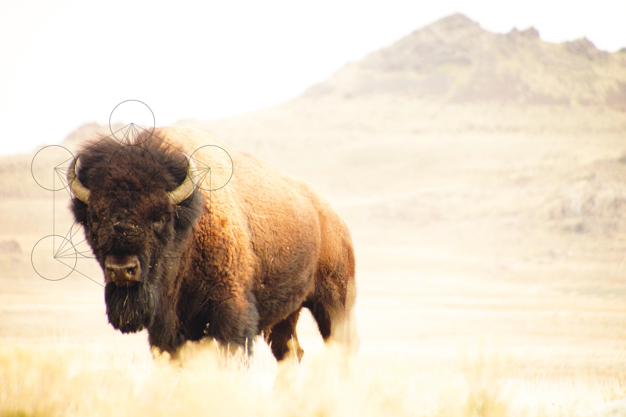 Antelope Island State Park. Utah