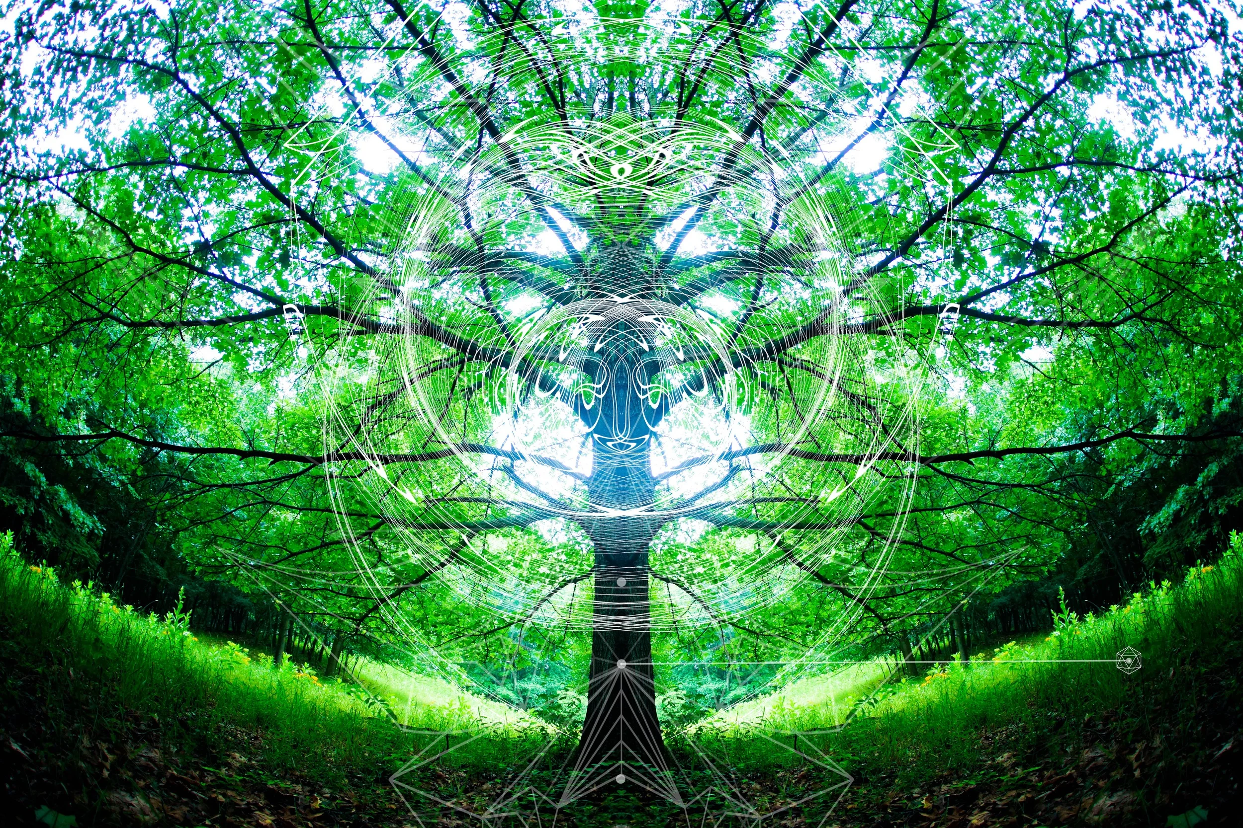alienlinetotemtreeicosmaller.jpg
