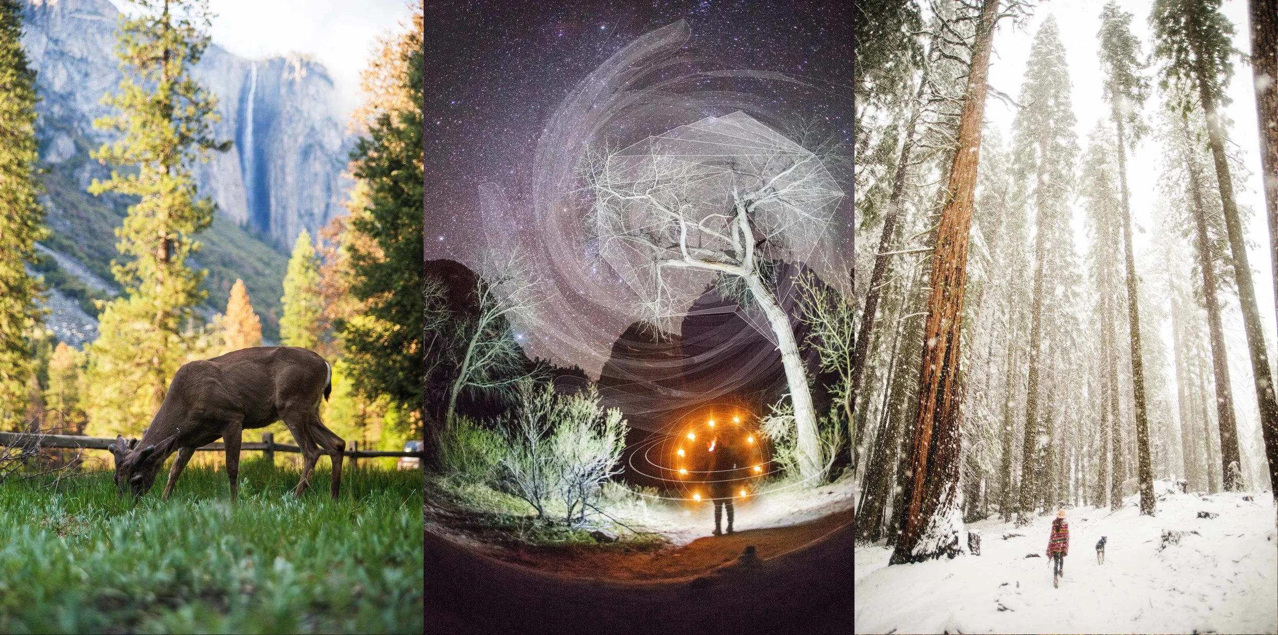 Collage3.jpg