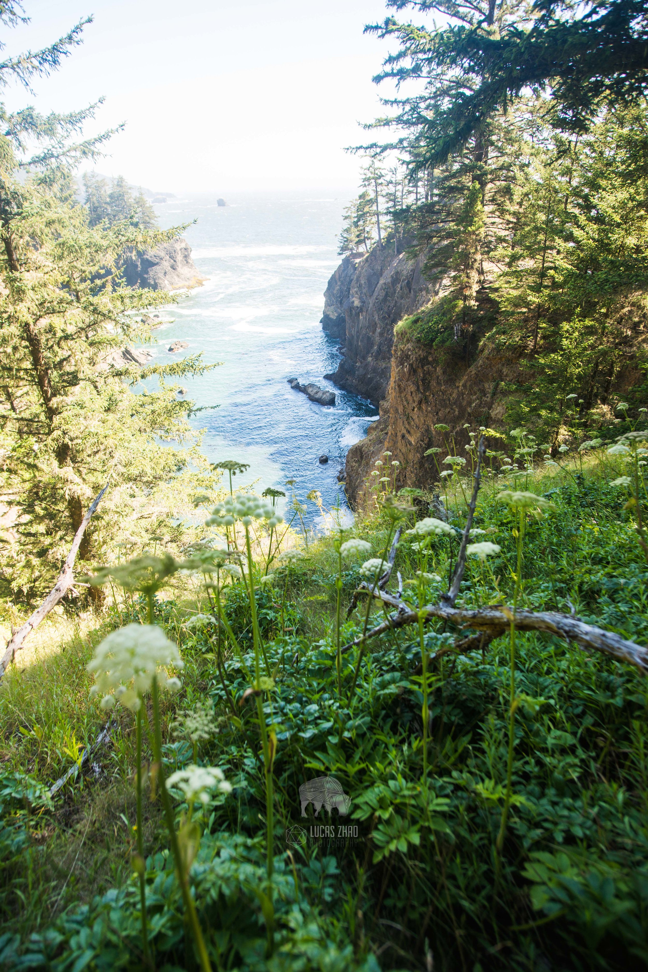 Samuel H. Boardman State Park (Oregon)
