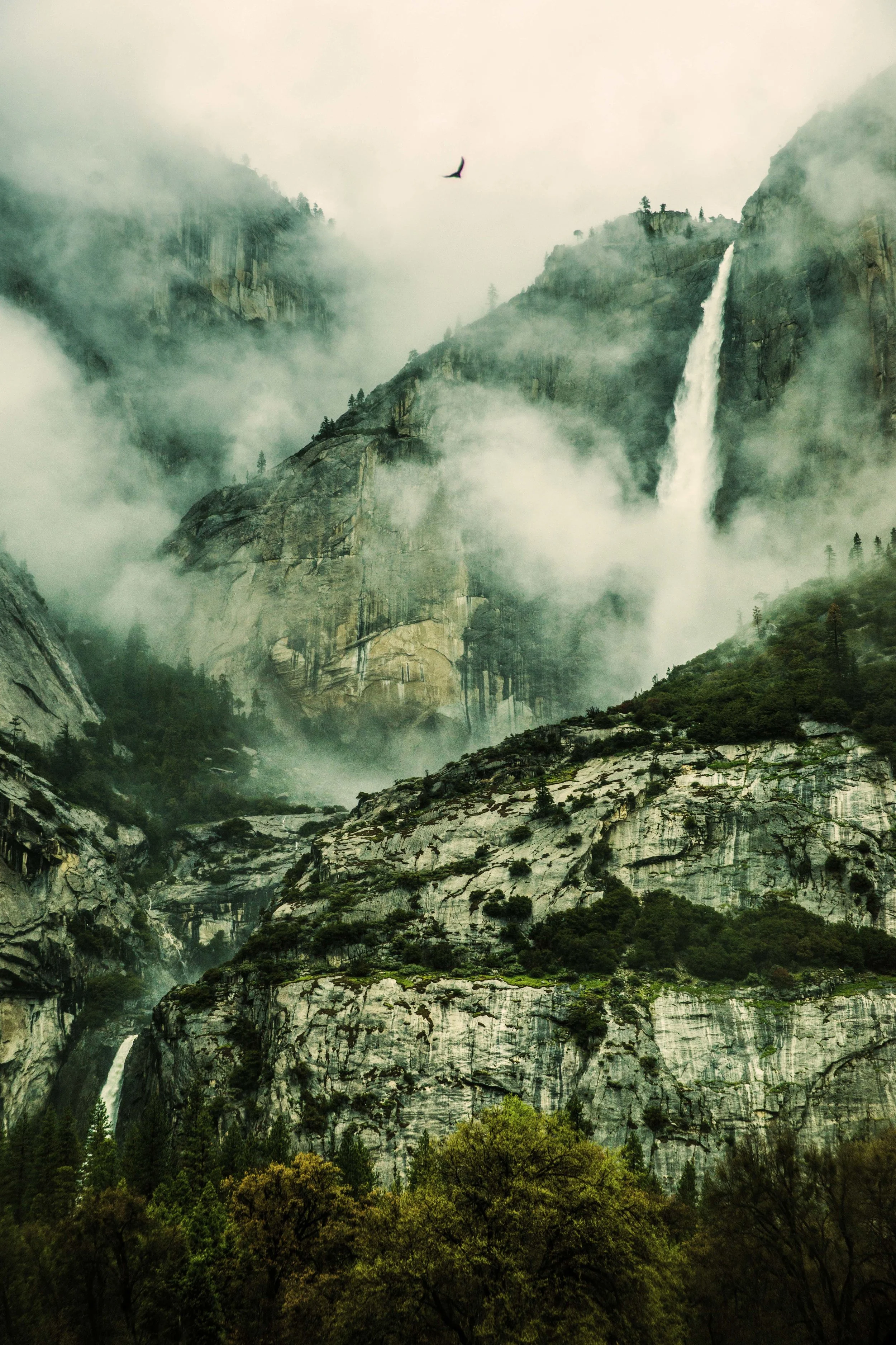 YosemiteLairsmaller.jpg