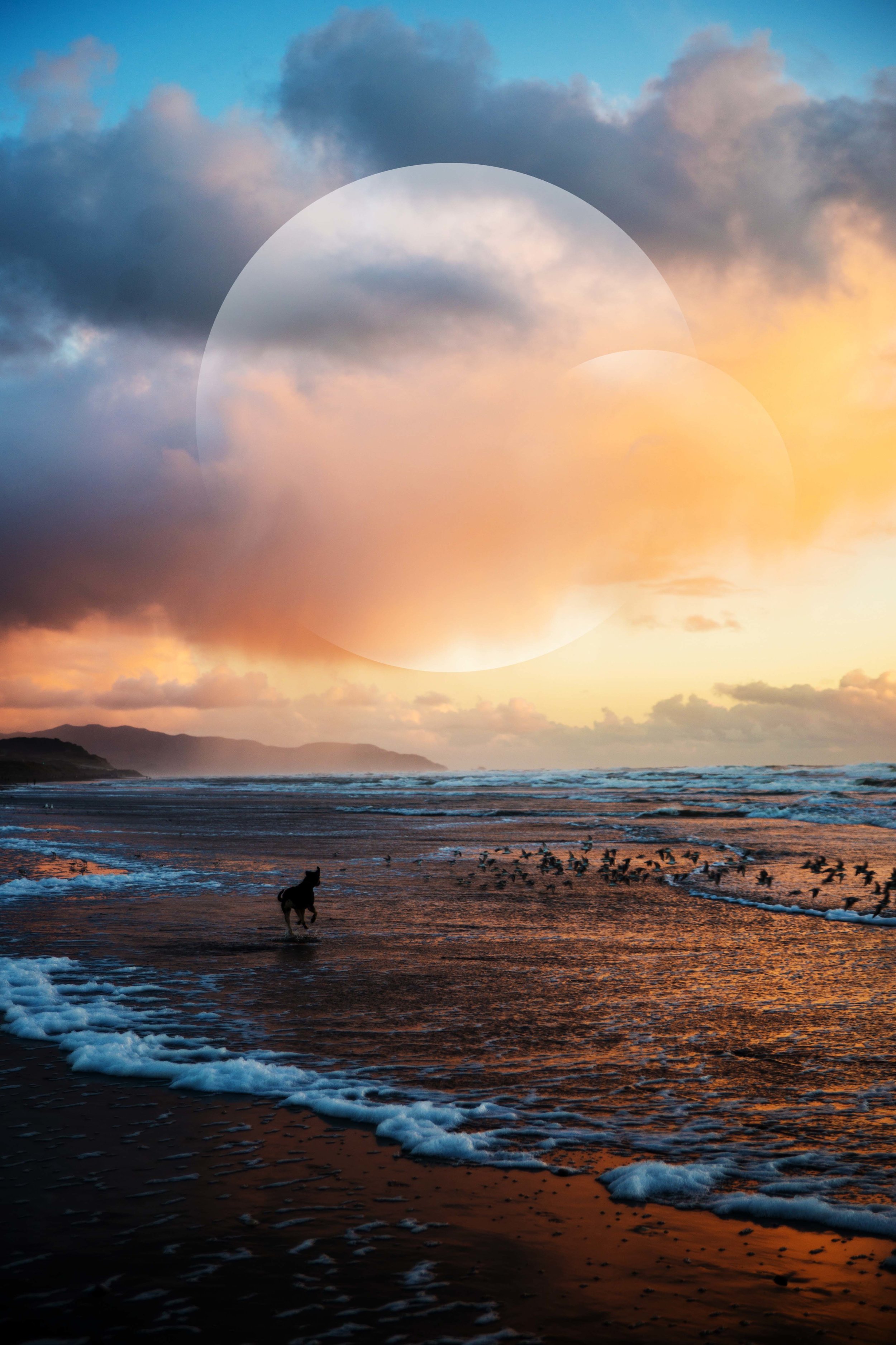 Ocean Beach, San Francisco