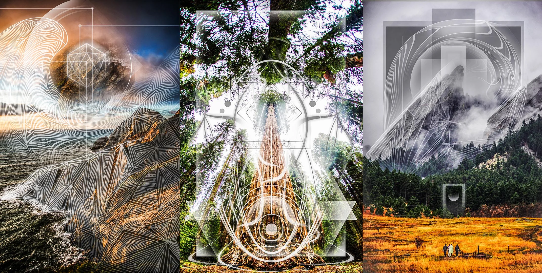 GalleryCoverphotoTribe.jpg