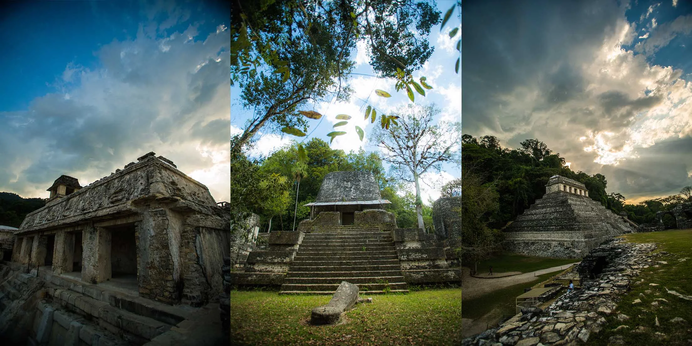 Left to right: Palenque, Chiapas. Tikal, Guatemala. Palenque, Chiapas.