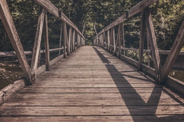 The Bridge by Cezarija Abartis
