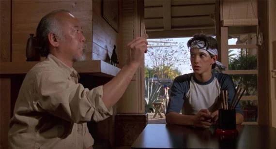 Wouldn’t a Flyswatter Be Easier by Trish Hopkinson