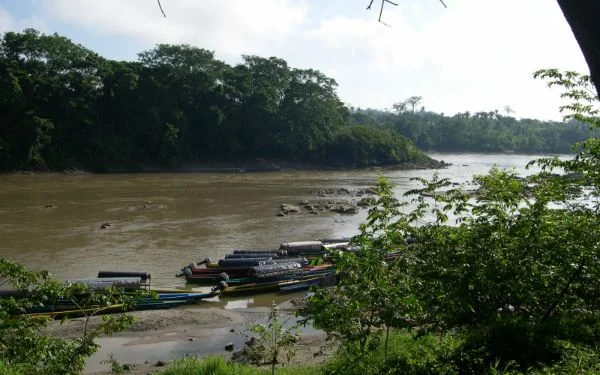 Orphans by Gabriel Furshong