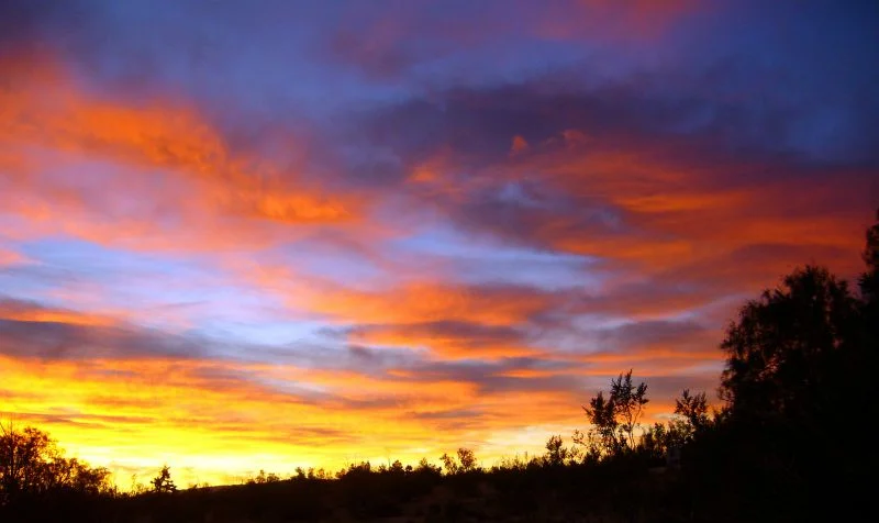 POETRY(S)unriseby Morgan Bazilian 