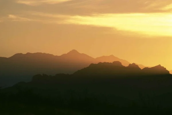 POETRYBlue Scout (Nuri Alexander)by Thomas R. Thomas