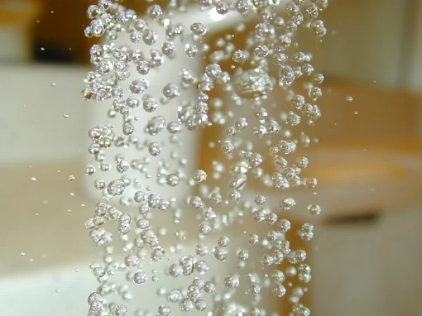 POETRYIn Uteroby Mary Schmidt