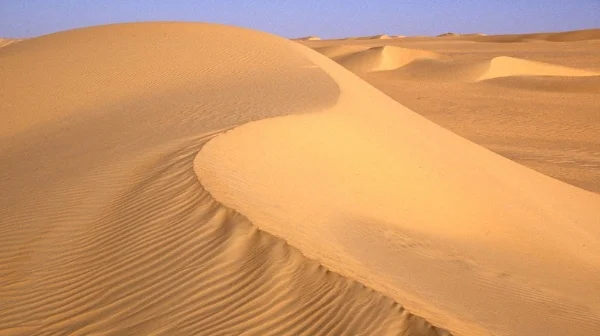 POETRYDestroy, She Saidby Antonia Wolf