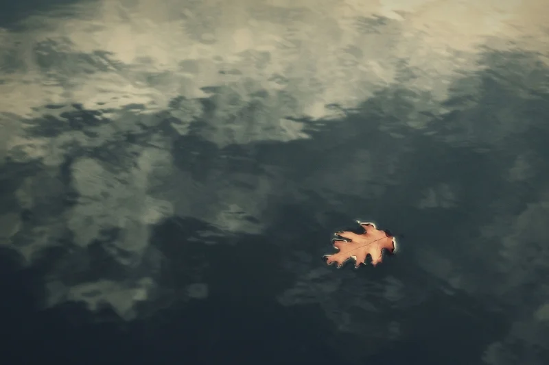 POETRYWith More Than BeingYuan Changming