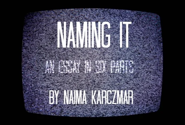 NON-FICTIONNaming It: An Essay in Six PartsPart Two: A Catalogue of IncidentsNaima Karczmar