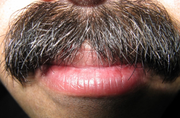 POETRYHow to Kiss a Man With a MustacheKatie Moore