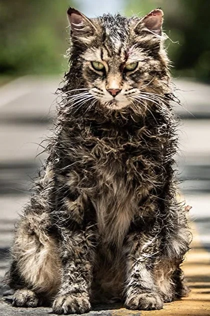 100 WORD FILM REVIEWS / Pet Sematary
