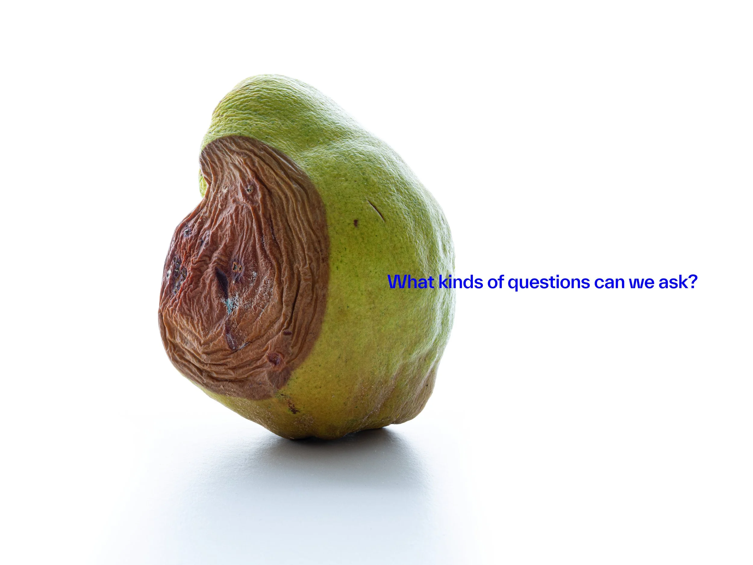 QandA19.jpg