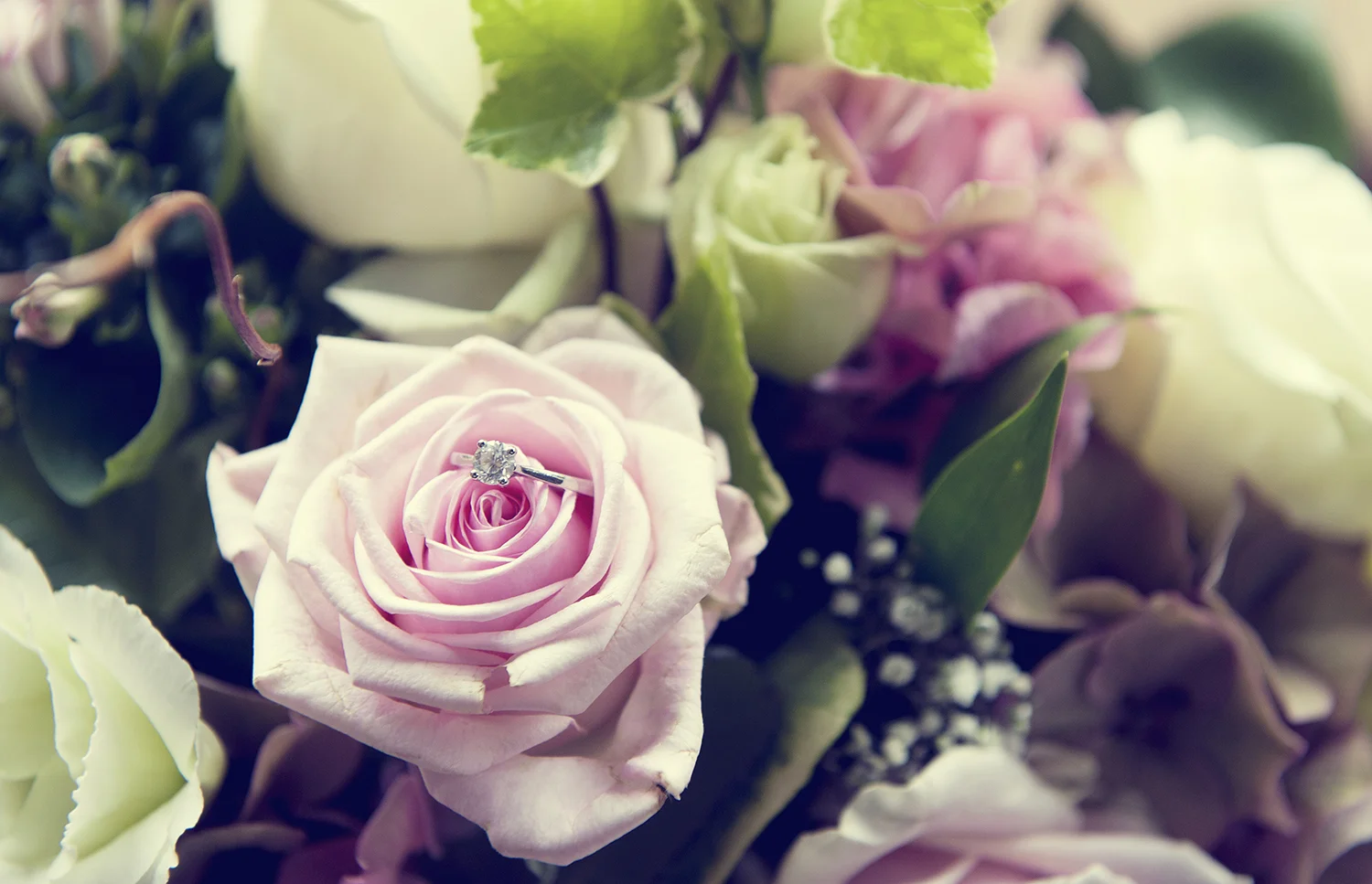 GD_2012_Emily&MattBrown_035.jpg