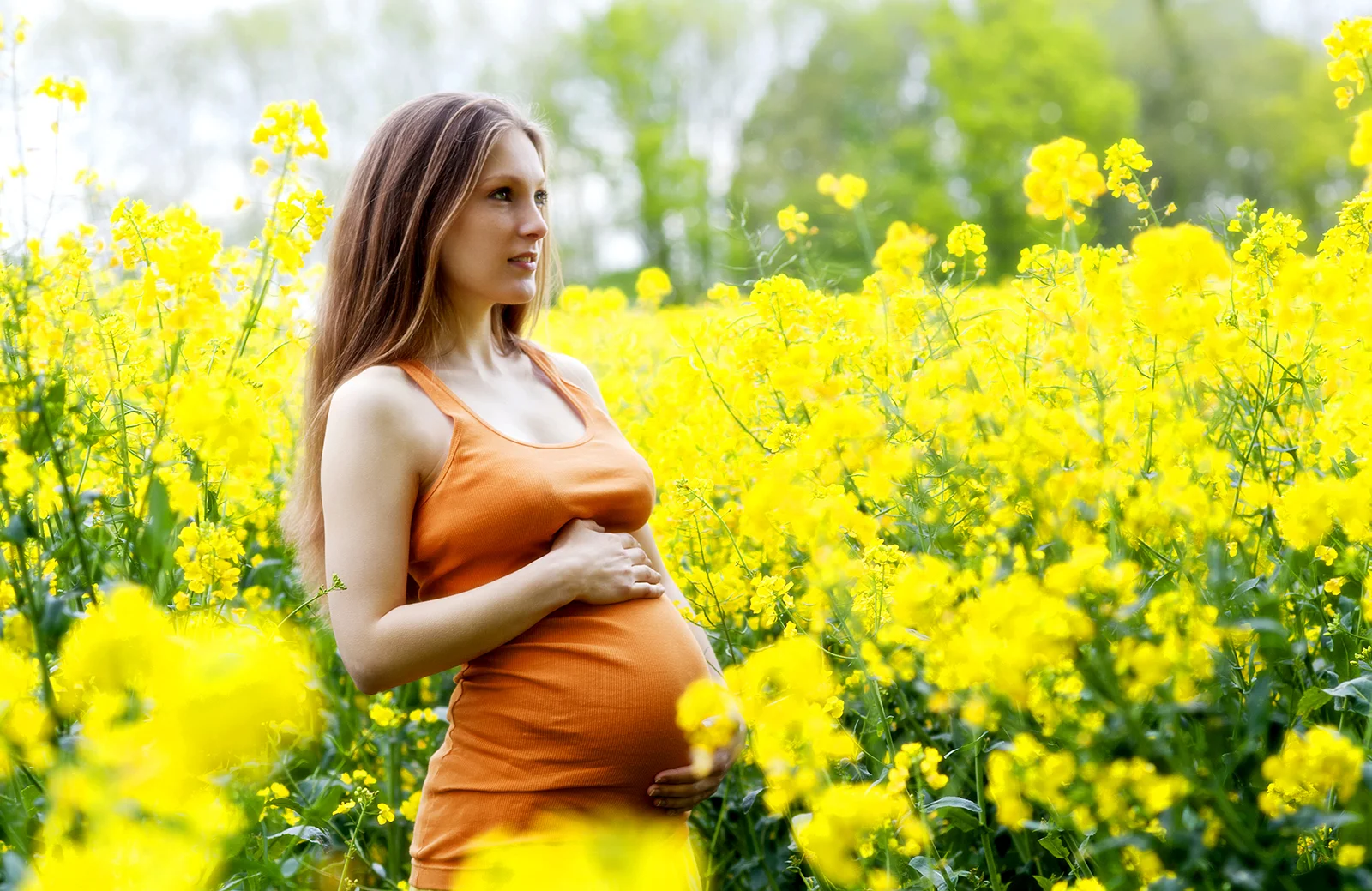 GD_2012_Pollyanna_24weeks_04.jpg