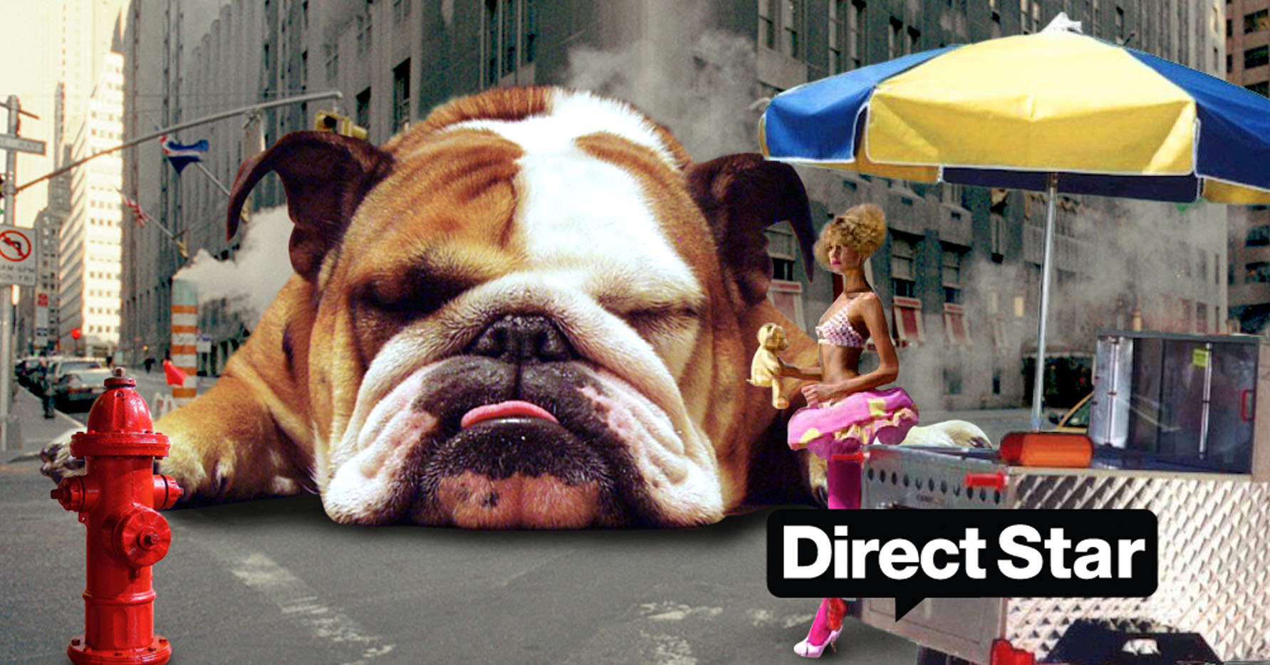 thumbnailsPortfolio_directStr3.jpg
