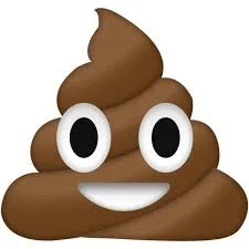 poop emoji.jpeg