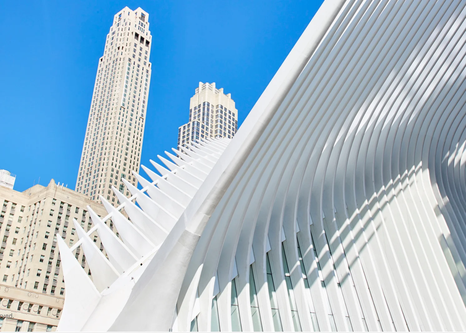 SPINE OR CALATRAVA?! NYC, 2017