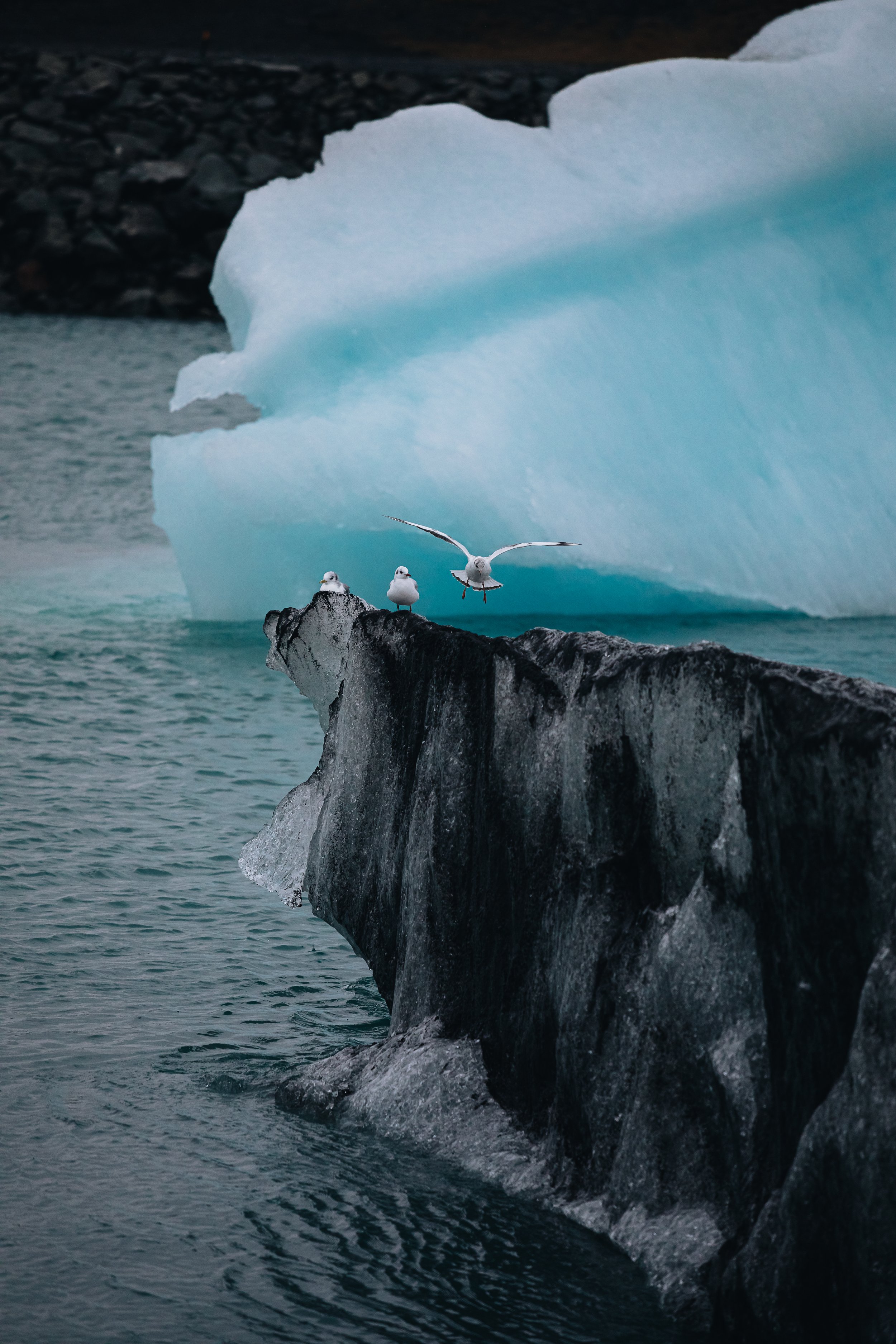 Iceland-069.jpg