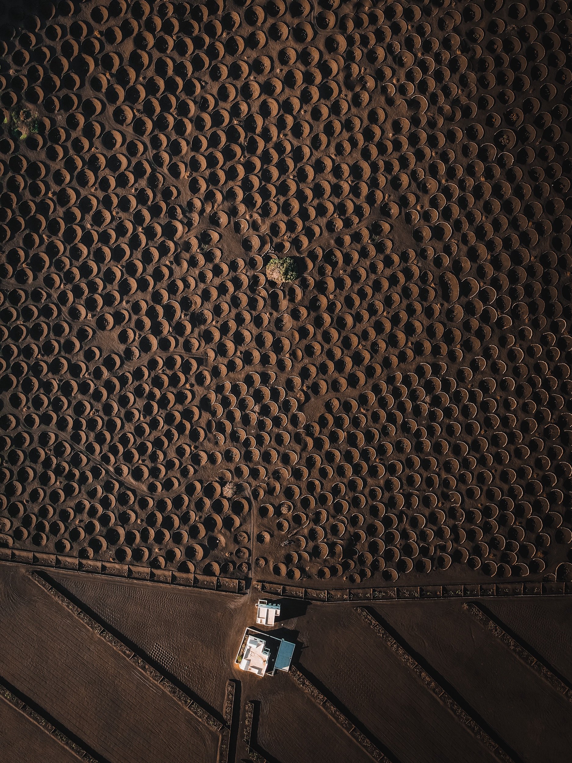dji_fly_20221225_165004_505_1672009858124_photo.jpeg