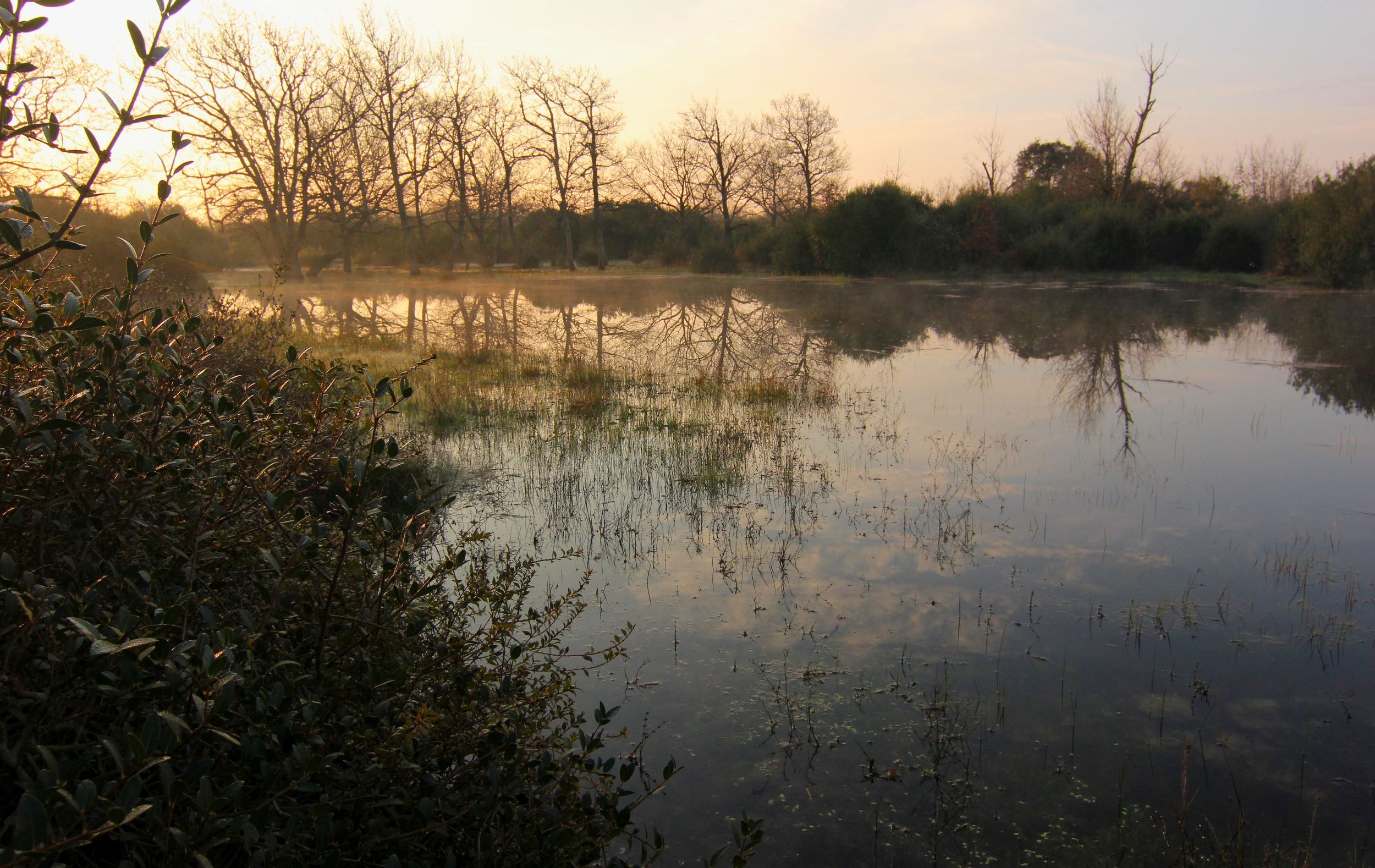 Le piscine della Macchia Grande sono piene d'acqua e di vita in primavera. Questa e una della piu grande anche se poco profonda. La chiamo prima piscina.  