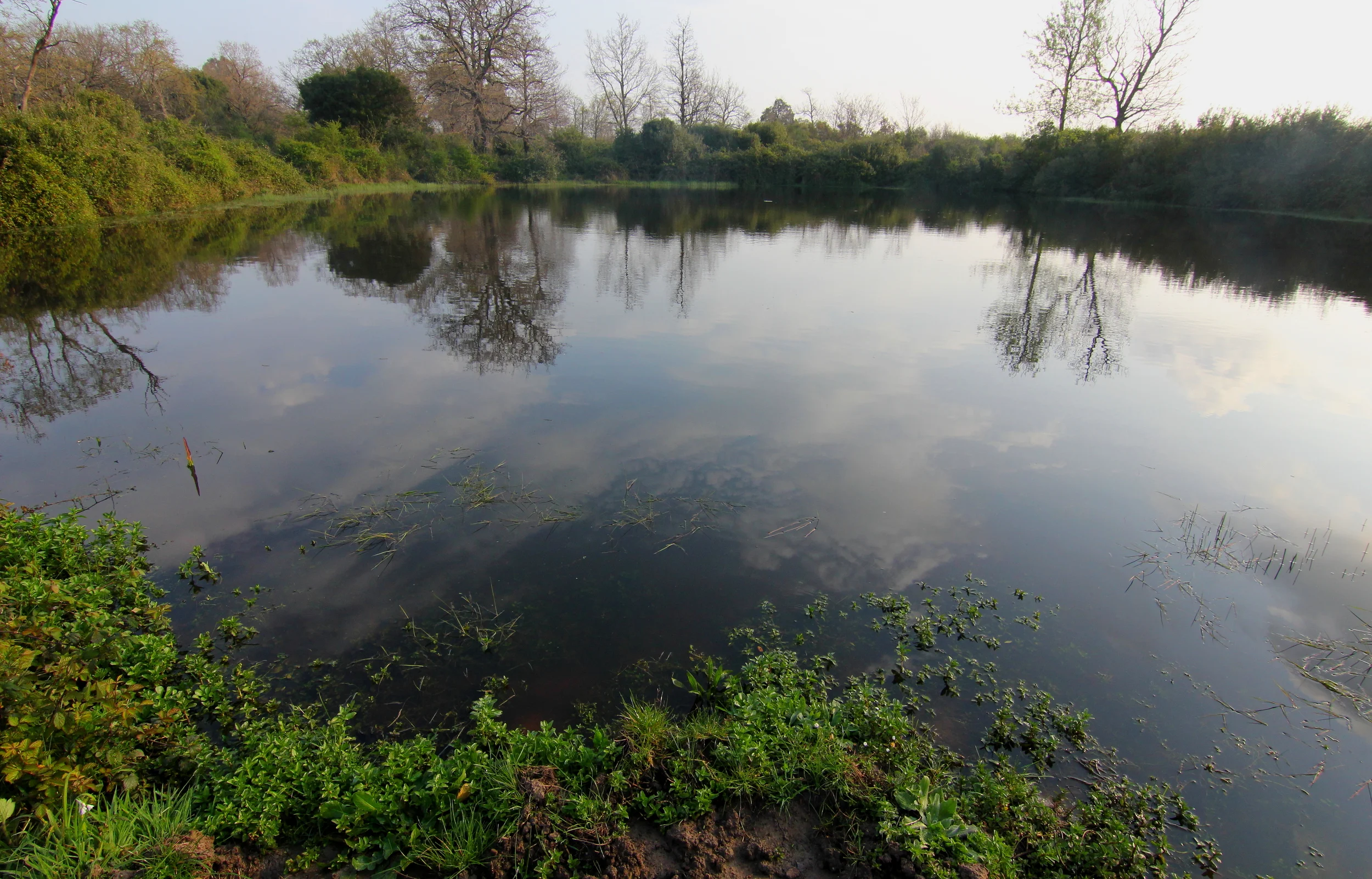La tersa piscina dela Macchia grande. Molto pienna a fine marzo. 