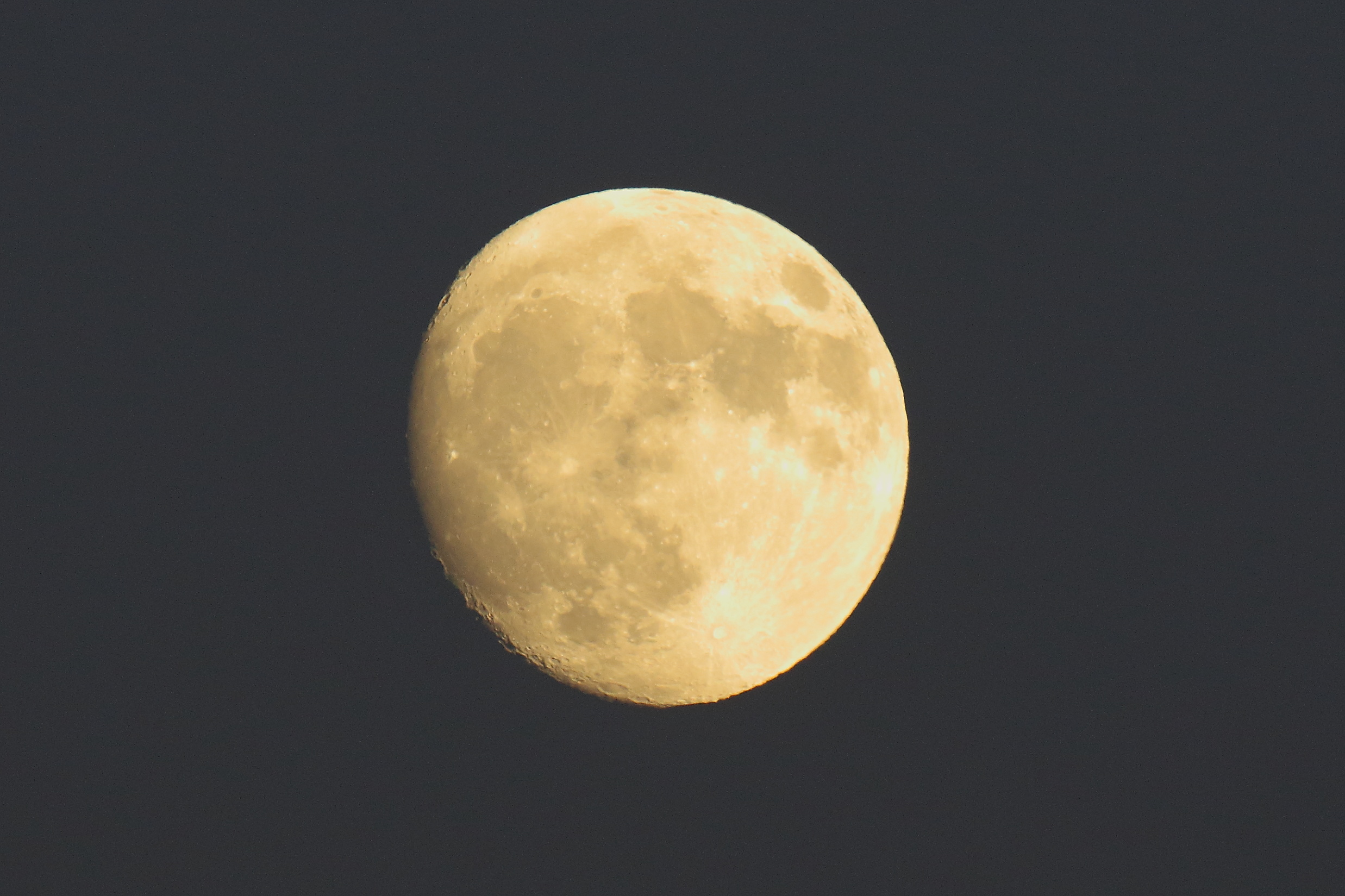 La Luna Grande di novembre 2016 sulla Macchia grande