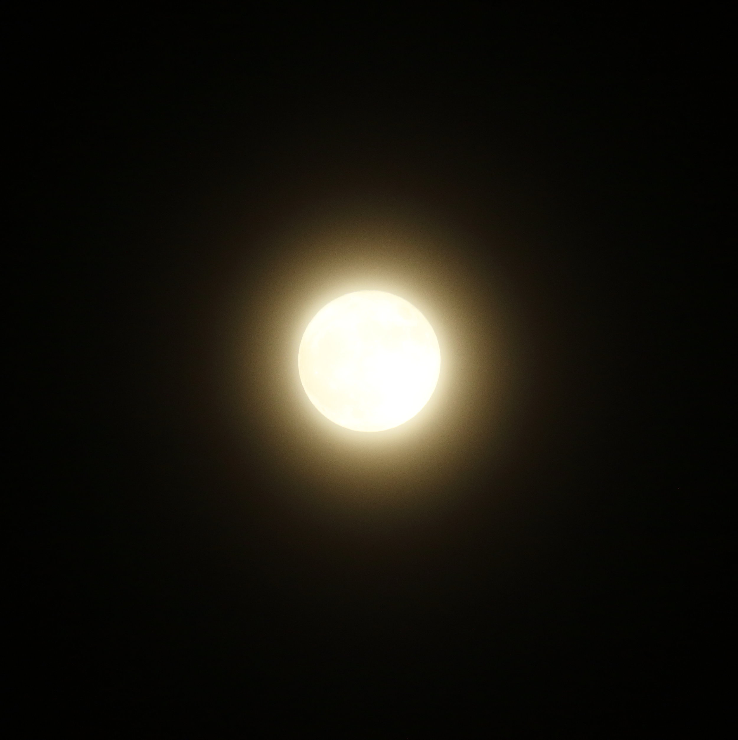 La ''superluna'' del 14 novembre 2016...nelle nuvole