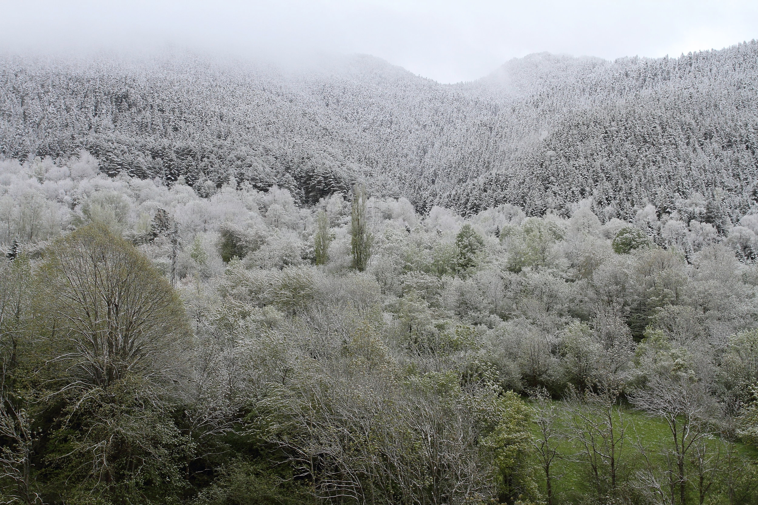 Neige au printemps en Val d'Aran