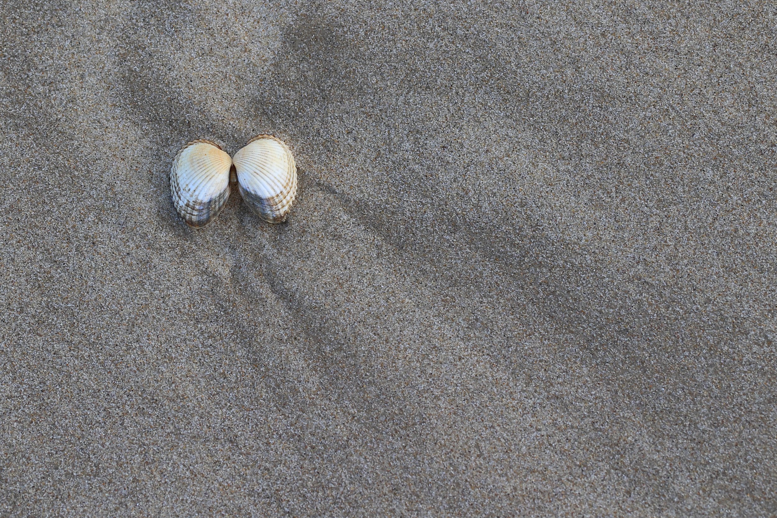 Devenir sable, cote Bassin 8